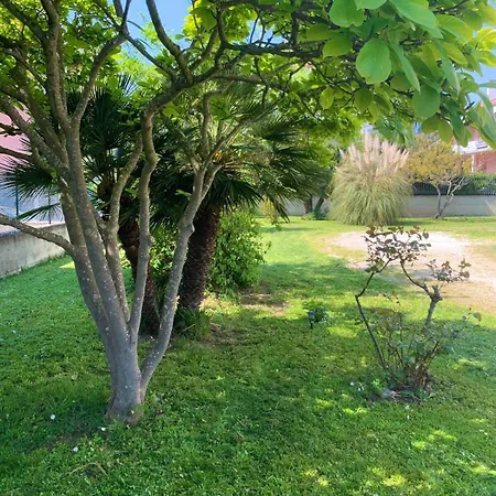 A Casa Di Giulia * Civitanova Marche